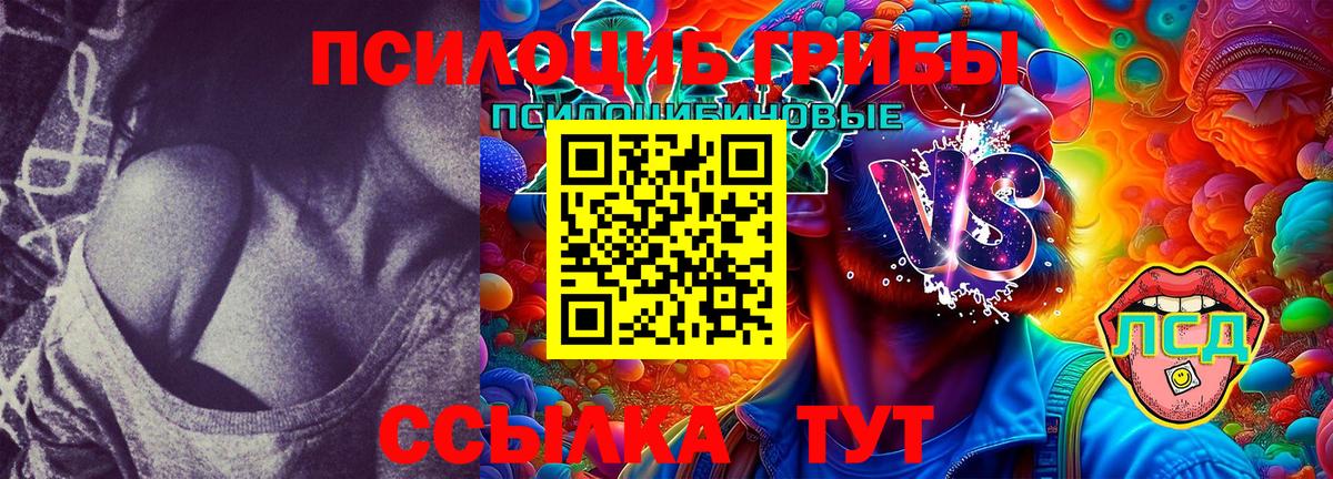 Псилоцибиновые грибы Cubensis  Вход с VPN  Краснодар 
